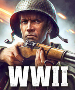 World War Heroes: WW2